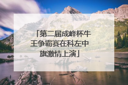 第二届成峰杯牛王争霸赛在科左中旗激情上演