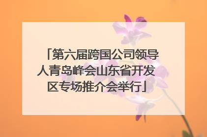 第六届跨国公司领导人青岛峰会山东省开发区专场推介会举行