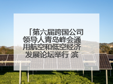 第六届跨国公司领导人青岛峰会通用航空和低空经济发展论坛举行 滨州市全方位推介低空经济发展优势