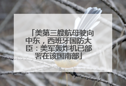 美第三艘航母驶向中东，西班牙国防大臣：美军轰炸机已部署在该国南部