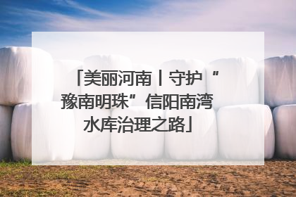 美丽河南丨守护“豫南明珠”信阳南湾水库治理之路