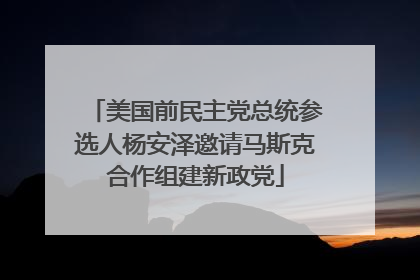 美国前民主党总统参选人杨安泽邀请马斯克合作组建新政党