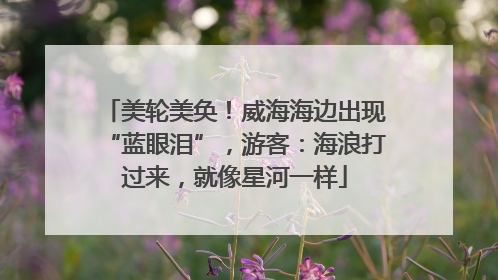 美轮美奂！威海海边出现“蓝眼泪”，游客：海浪打过来，就像星河一样