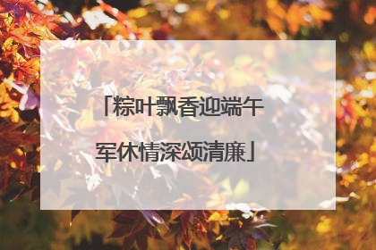 粽叶飘香迎端午 军休情深颂清廉