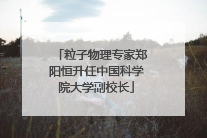 粒子物理专家郑阳恒升任中国科学院大学副校长