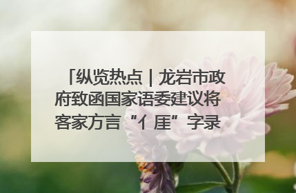 纵览热点｜龙岩市政府致函国家语委建议将客家方言“亻厓”字录入《新华字典》引发热议，当地回应