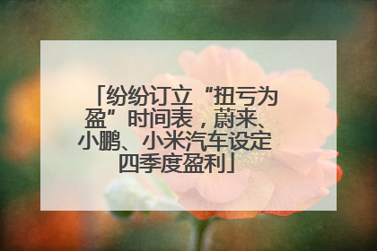 纷纷订立“扭亏为盈”时间表，蔚来、小鹏、小米汽车设定四季度盈利