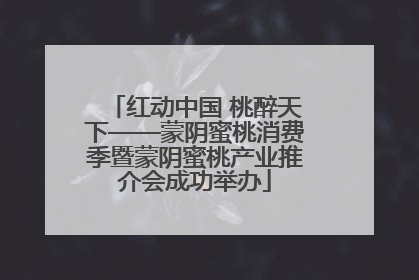 红动中国 桃醉天下——蒙阴蜜桃消费季暨蒙阴蜜桃产业推介会成功举办