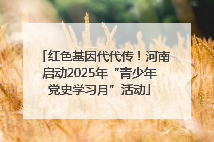 红色基因代代传！河南启动2025年“青少年党史学习月”活动
