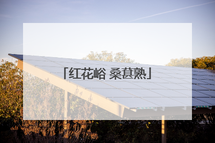 红花峪 桑葚熟