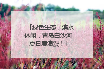 绿色生态，滨水休闲，青岛白沙河夏日展浪漫！
