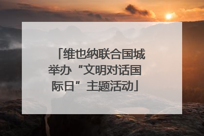 维也纳联合国城举办“文明对话国际日”主题活动