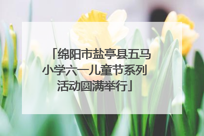 绵阳市盐亭县五马小学六一儿童节系列活动圆满举行