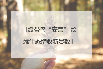 绶带鸟“安营” 绘就生态增收新景致