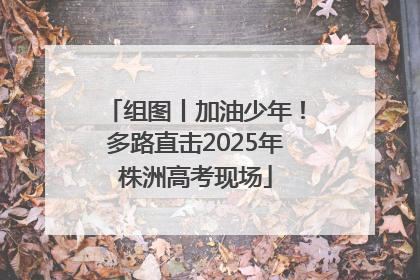 组图丨加油少年！多路直击2025年株洲高考现场