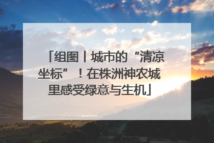 组图丨城市的“清凉坐标”！在株洲神农城里感受绿意与生机