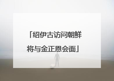 绍伊古访问朝鲜 将与金正恩会面