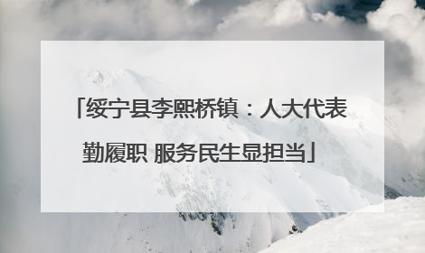 绥宁县李熙桥镇：人大代表勤履职 服务民生显担当