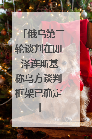 俄乌第二轮谈判在即 泽连斯基称乌方谈判框架已确定