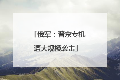 俄军：普京专机遭大规模袭击