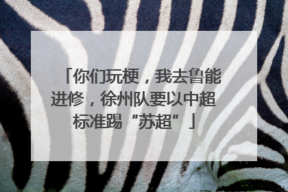 你们玩梗，我去鲁能进修，徐州队要以中超标准踢“苏超”