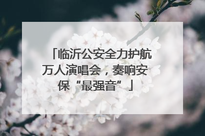 临沂公安全力护航万人演唱会，奏响安保“最强音”