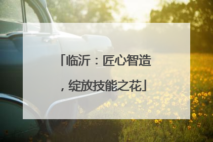 临沂：匠心智造，绽放技能之花