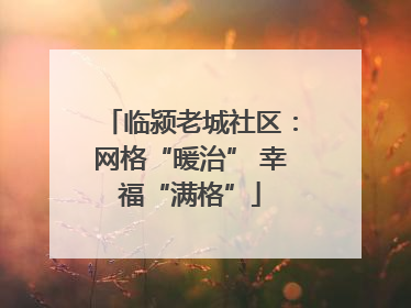 临颍老城社区：网格“暖治” 幸福“满格”