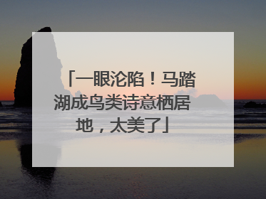 一眼沦陷！马踏湖成鸟类诗意栖居地，太美了