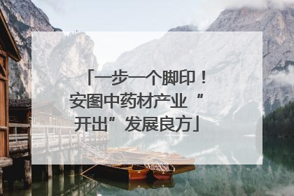 一步一个脚印！安图中药材产业“开出”发展良方