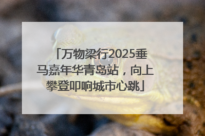 万物梁行2025垂马嘉年华青岛站，向上攀登叩响城市心跳