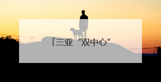 三亚“双中心”项目加快建设