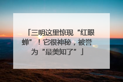 三明这里惊现“红眼蝉”！它很神秘，被誉为“最美知了”