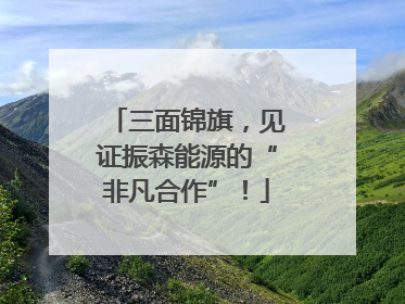 三面锦旗，见证振森能源的“非凡合作”！