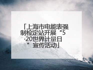 上海市电能表强制检定站开展“5·20世界计量日”宣传活动