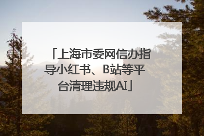 上海市委网信办指导小红书、B站等平台清理违规AI