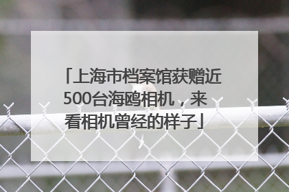 上海市档案馆获赠近500台海鸥相机，来看相机曾经的样子