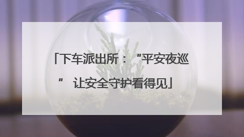 下车派出所：“平安夜巡” 让安全守护看得见