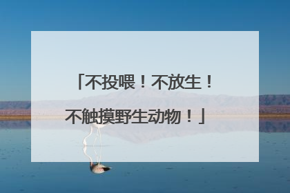 不投喂！不放生！不触摸野生动物！