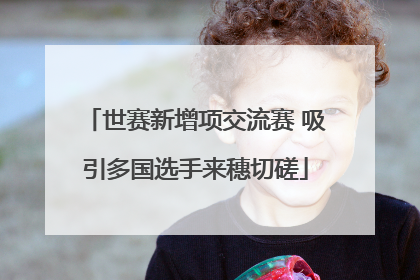 世赛新增项交流赛 吸引多国选手来穗切磋