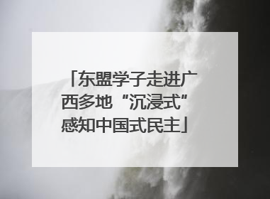 东盟学子走进广西多地“沉浸式”感知中国式民主