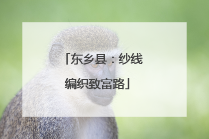 东乡县：纱线编织致富路