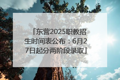东营2025职教招生时间表公布：6月27日起分两阶段录取