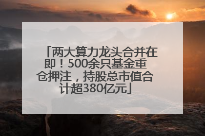 两大算力龙头合并在即！500余只基金重仓押注，持股总市值合计超380亿元