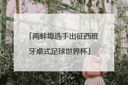 两蚌埠选手出征西班牙桌式足球世界杯