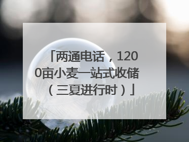 两通电话，1200亩小麦一站式收储（三夏进行时）