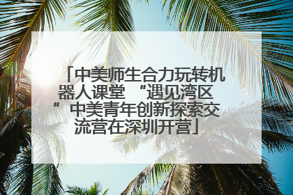 中美师生合力玩转机器人课堂 “遇见湾区”中美青年创新探索交流营在深圳开营