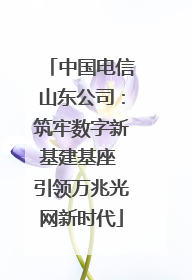 中国电信山东公司：筑牢数字新基建基座 引领万兆光网新时代