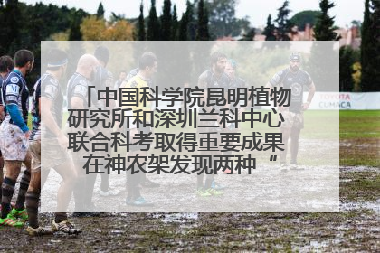 中国科学院昆明植物研究所和深圳兰科中心联合科考取得重要成果 在神农架发现两种“国保”级兰花