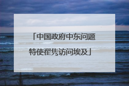 中国政府中东问题特使翟隽访问埃及